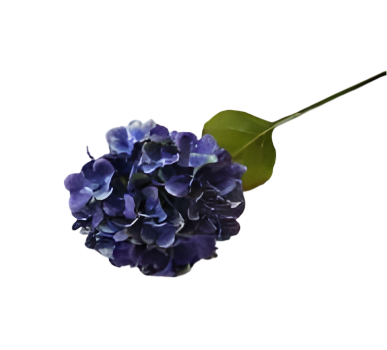 https://cdn.warentuin.nl/media/catalog/product/S/C/SCAN2500000259555_kunst_hortensia_tak_blauw_62_cm_buitengewoon_de_boet_62f2.png