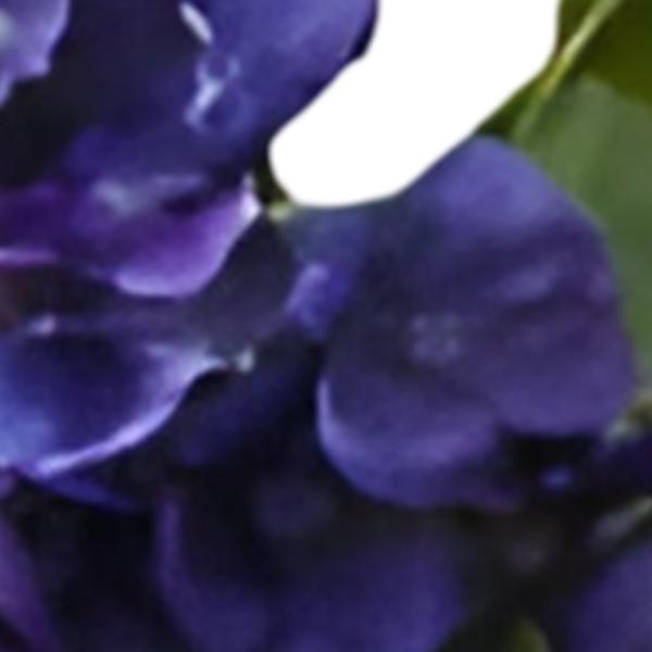 https://cdn.warentuin.nl/media/catalog/product/S/C/SCAN2500000259562_01_kunst_hortensia_tak_blauw_paars_62_cm_buitengewoon_de_boet_1b32.jpg
