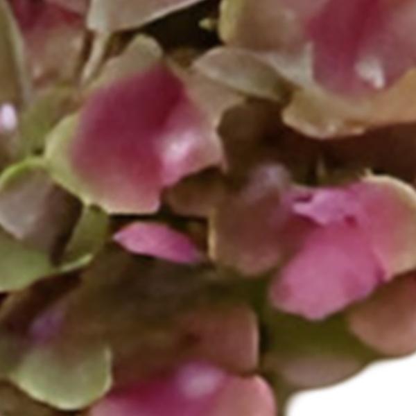 https://cdn.warentuin.nl/media/catalog/product/S/C/SCAN2500000259579_01_kunst_hortensia_tak_groen_roze_62_cm_buitengewoon_de_boet_d52a.jpg