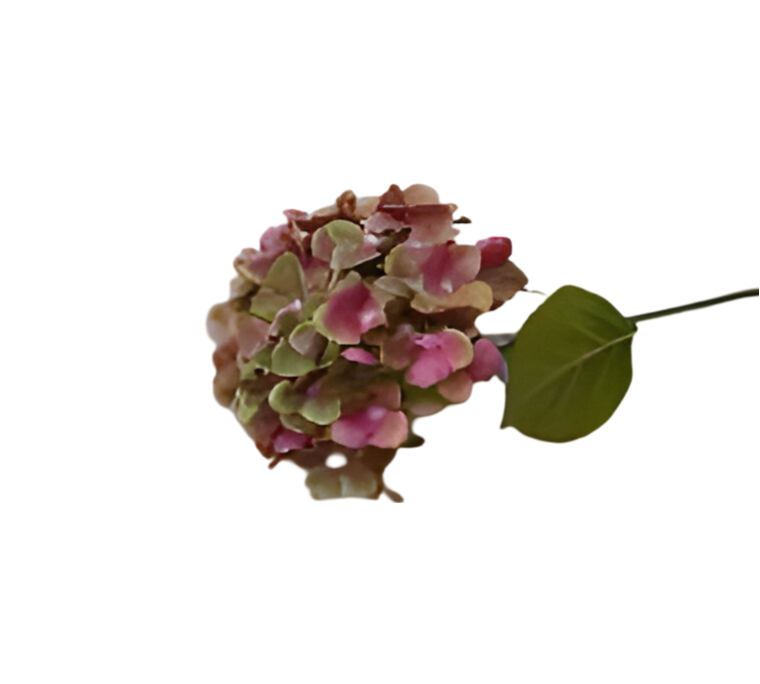 https://cdn.warentuin.nl/media/catalog/product/S/C/SCAN2500000259579_kunst_hortensia_tak_groen_roze_62_cm_buitengewoon_de_boet_b1ee.png