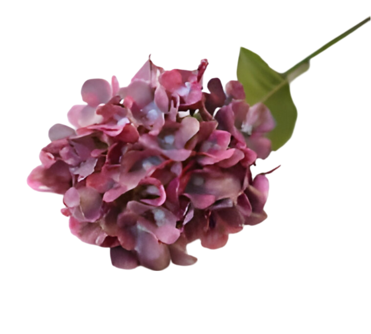 https://cdn.warentuin.nl/media/catalog/product/S/C/SCAN2500000259586_kunst_hortensia_tak_donkerroze_62_cm_buitengewoon_de_boet_2066.png