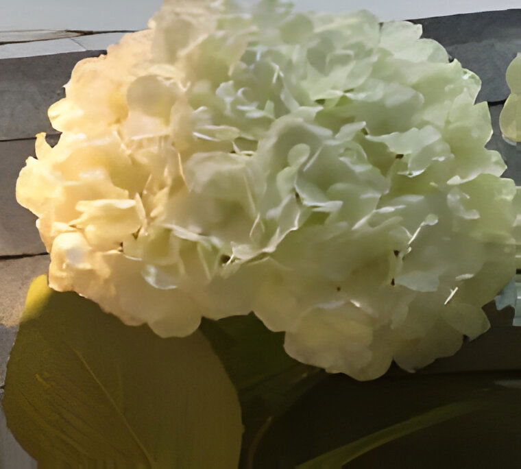 https://cdn.warentuin.nl/media/catalog/product/S/C/SCAN2500000259609_kunst_hortensia_tak_wit_92_cm_buitengewoon_de_boet_3c32.jpg