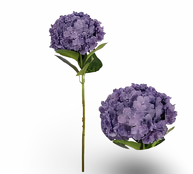 https://cdn.warentuin.nl/media/catalog/product/S/C/SCAN2500000259616_01_9778.png