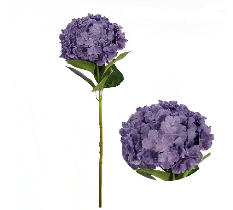 https://cdn.warentuin.nl/media/catalog/product/S/C/SCAN2500000259616_kunst_hortensia_tak_paars_92_cm_buitengewoon_de_boet_abbe.jpg
