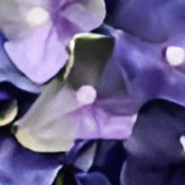 https://cdn.warentuin.nl/media/catalog/product/S/C/SCAN2500000259623_01_kunst_hortensia_tak_paars_groen_92_cm_buitengewoon_de_boet_b790.jpg