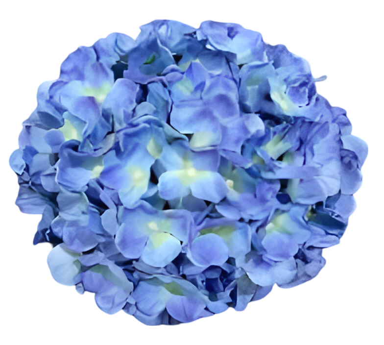 https://cdn.warentuin.nl/media/catalog/product/S/C/SCAN2500000259630_kunst_hortensia_tak_blauw_92_cm_buitengewoon_de_boet_7e9a.png