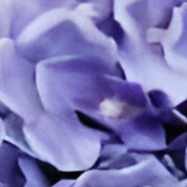 https://cdn.warentuin.nl/media/catalog/product/S/C/SCAN2500000259647_01_kunst_hortensia_tak_lila_92_cm_buitengewoon_de_boet_6e41.jpg