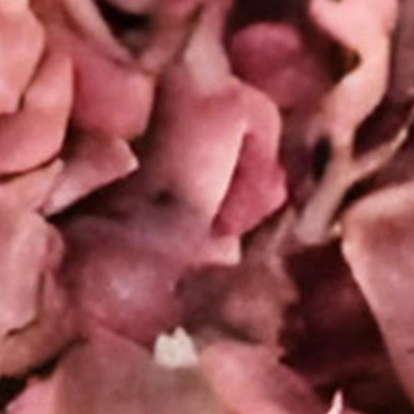 https://cdn.warentuin.nl/media/catalog/product/S/C/SCAN2500000259654_01_kunst_hortensia_tak_oudroze_92_cm_buitengewoon_de_boet_8d28.jpg