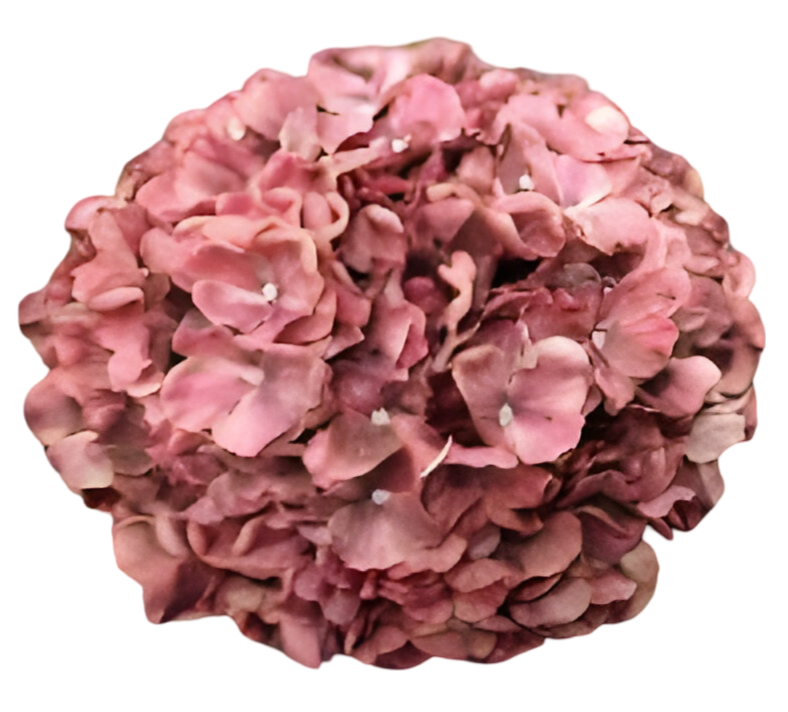 https://cdn.warentuin.nl/media/catalog/product/S/C/SCAN2500000259654_kunst_hortensia_tak_oudroze_92_cm_buitengewoon_de_boet_d58c.png