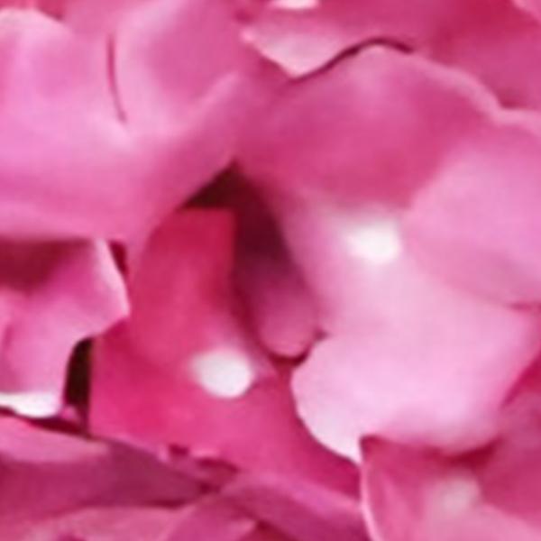 https://cdn.warentuin.nl/media/catalog/product/S/C/SCAN2500000259661_01_kunst_hortensia_tak_roze_92_cm_buitengewoon_de_boet_859d.jpg