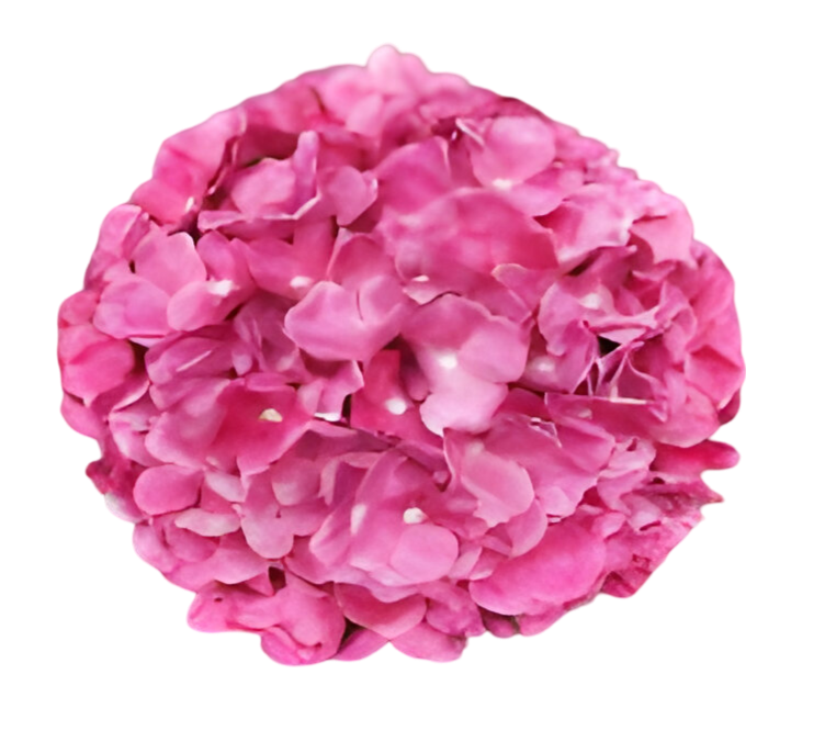 https://cdn.warentuin.nl/media/catalog/product/S/C/SCAN2500000259661_kunst_hortensia_tak_roze_92_cm_buitengewoon_de_boet_b126.png