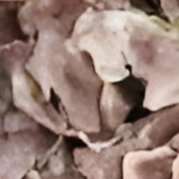 https://cdn.warentuin.nl/media/catalog/product/S/C/SCAN2500000259685_01_kunst_hortensia_tak_bruin_92_cm_buitengewoon_de_boet_66a0.jpg