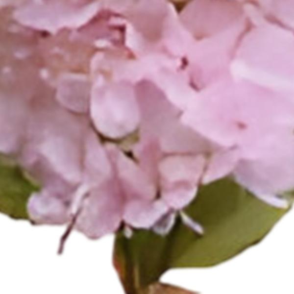 https://cdn.warentuin.nl/media/catalog/product/S/C/SCAN2500000259692_01_kunst_hortensia_pluim_lichtroze_85_cm_buitengewoon_de_boet_900f.jpg