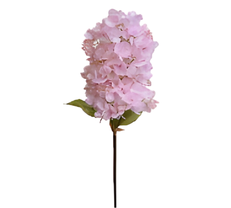 https://cdn.warentuin.nl/media/catalog/product/S/C/SCAN2500000259692_kunst_hortensia_pluim_lichtroze_85_cm_buitengewoon_de_boet_79a2.png