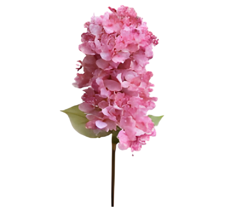 https://cdn.warentuin.nl/media/catalog/product/S/C/SCAN2500000259708_kunst_hortensia_pluim_roze_85_cm_buitengewoon_de_boet_2872.png