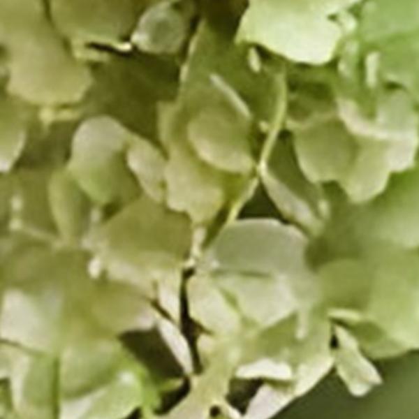 https://cdn.warentuin.nl/media/catalog/product/S/C/SCAN2500000259715_01_kunst_hortensia_pluim_lichtgroen_85_cm_buitengewoon_de_boe_e721.jpg