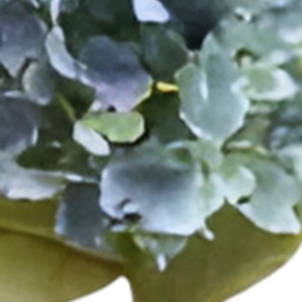 https://cdn.warentuin.nl/media/catalog/product/S/C/SCAN2500000259722_01_kunst_hortensia_pluim_blauw_groen_85_cm_buitengewoon_de_bo_92ac.jpg