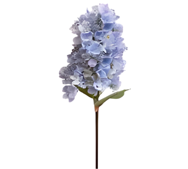 https://cdn.warentuin.nl/media/catalog/product/S/C/SCAN2500000259739_kunst_hortensia_pluim_lichtblauw_85_cm_buitengewoon_de_boet_7973.png