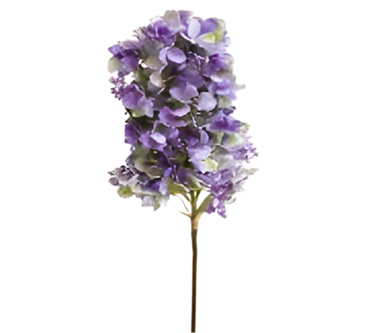 https://cdn.warentuin.nl/media/catalog/product/S/C/SCAN2500000259746_kunst_hortensia_pluim_donkerpaars_85_cm_buitengewoon_de_boet_69c6.png