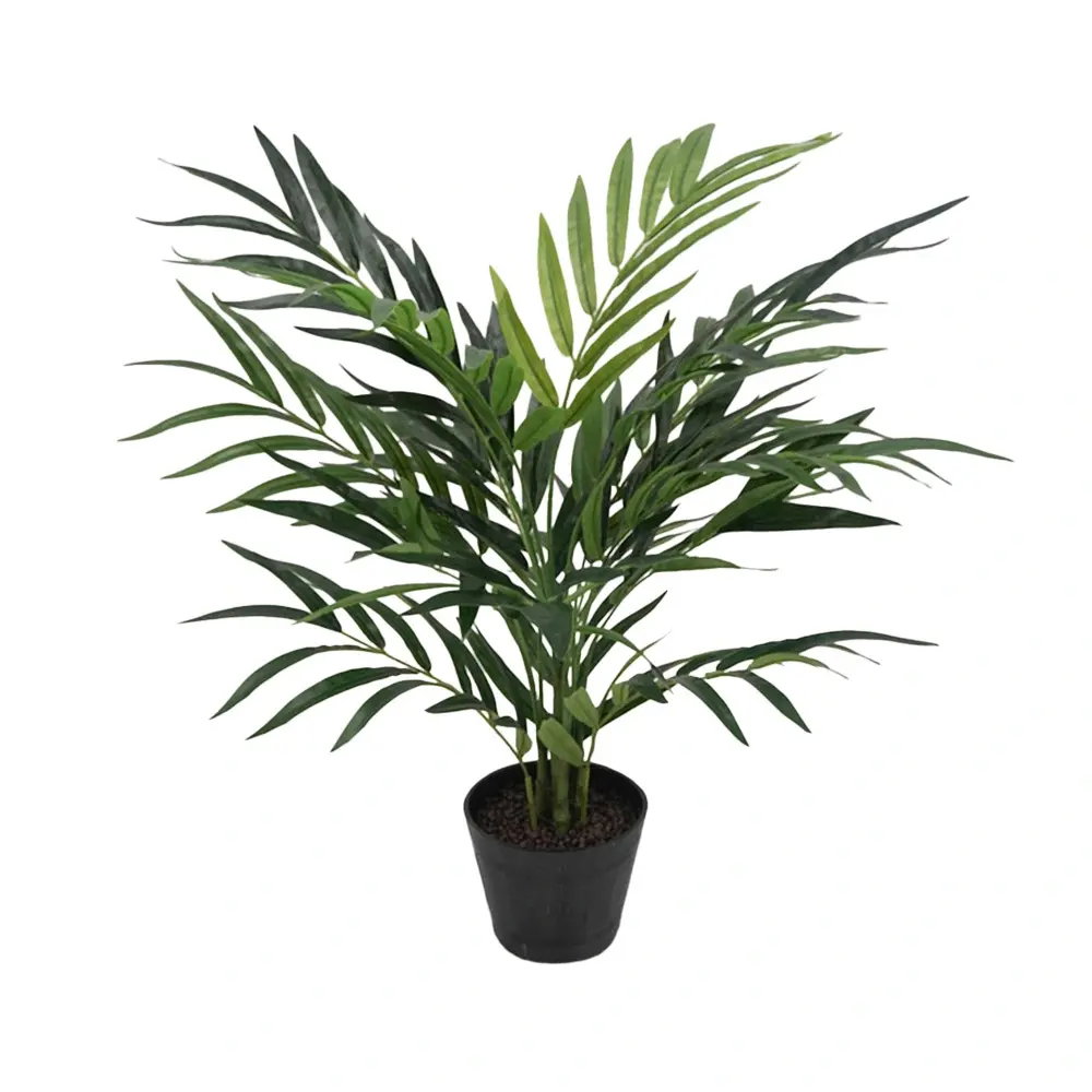 https://cdn.warentuin.nl/media/catalog/product/S/C/SCAN2500000259777_palm_70_cm_kunstplant_buitengewoon_de_boet_049c.jpg