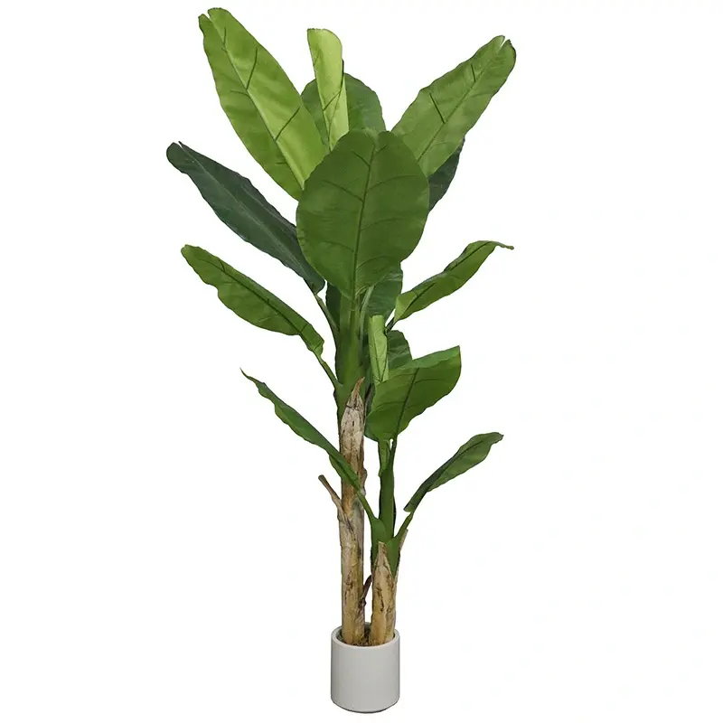 https://cdn.warentuin.nl/media/catalog/product/S/C/SCAN2500000260049_bananenplant_2_stam_210_cm_kunstplant_buit_1182.jpg