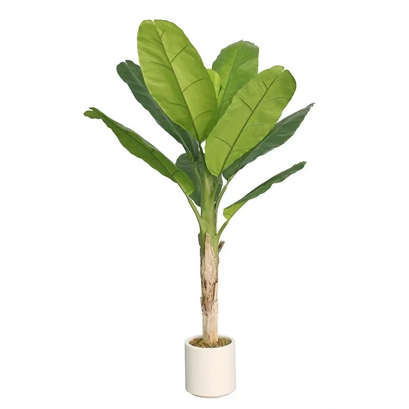 https://cdn.warentuin.nl/media/catalog/product/S/C/SCAN2500000260056_bananenplant_186_cm_kunstplant_buitengewoo_9fbb.jpg