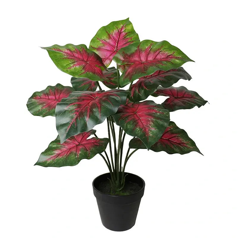 https://cdn.warentuin.nl/media/catalog/product/S/C/SCAN2500000260070_caladium_rood_40_cm_kunstplant_buitengewoo_d412.jpg