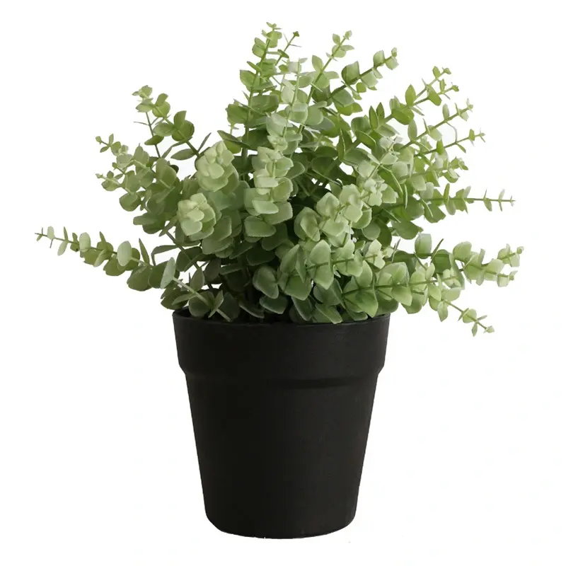 https://cdn.warentuin.nl/media/catalog/product/S/C/SCAN2500000260285_grass_groen_28_cm_kunstplant_buitengewoon__708a.jpg