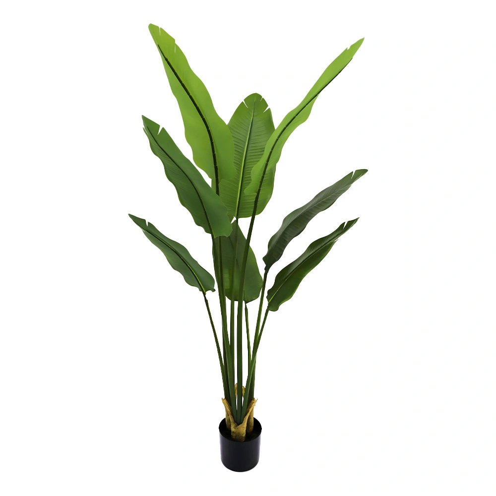 https://cdn.warentuin.nl/media/catalog/product/S/C/SCAN2500000261602_strelitzia_in_pot_150_cm_kunstplant_buiten_9645.jpg