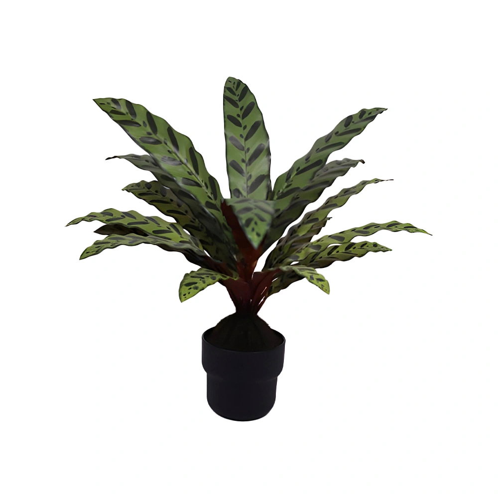 https://cdn.warentuin.nl/media/catalog/product/S/C/SCAN2500000261626_calathea_insignis_55_cm_kunstplant_buiteng_d863.jpg
