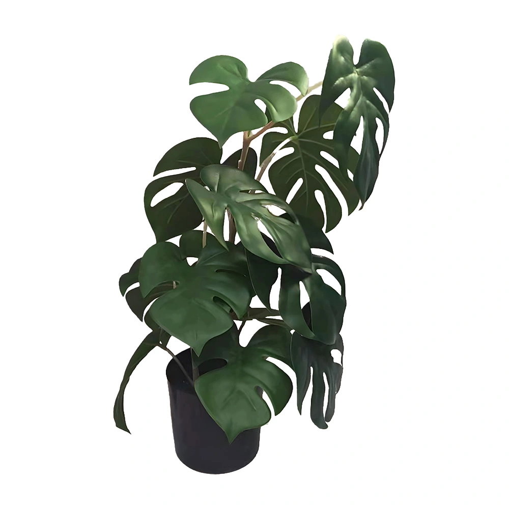 https://cdn.warentuin.nl/media/catalog/product/S/C/SCAN2500000261640_monstera_46_cm_kunstplant_buitengewoon_de__92d1.jpg