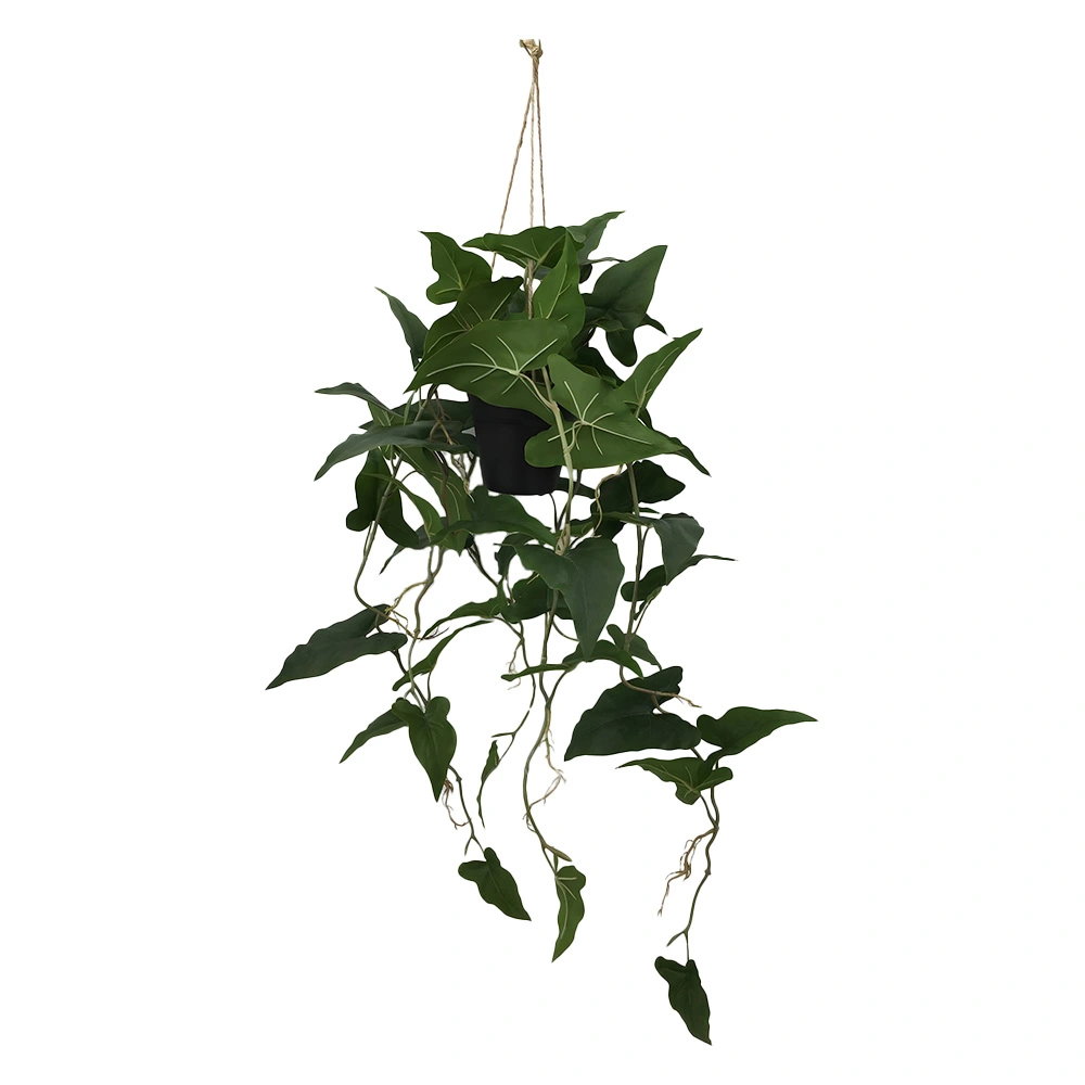 https://cdn.warentuin.nl/media/catalog/product/S/C/SCAN2500000261671_hedera_punt_hang_105_cm_kunstplant_buiteng_88e7.jpg