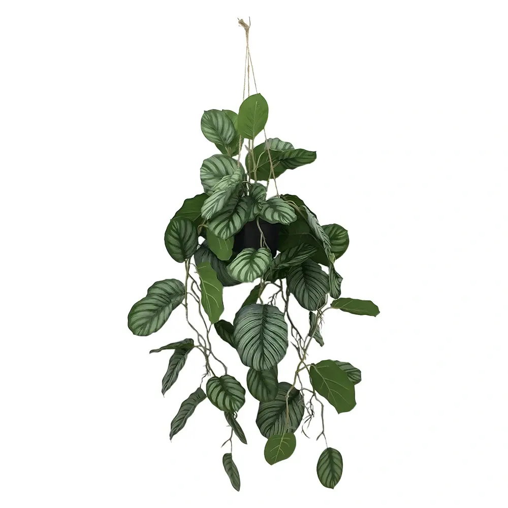 https://cdn.warentuin.nl/media/catalog/product/S/C/SCAN2500000261688_calathea_hang_150_cm_kunstplant_buitengewo_7e17.jpg