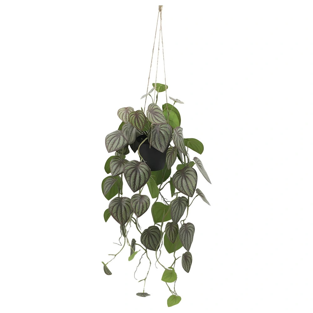 https://cdn.warentuin.nl/media/catalog/product/S/C/SCAN2500000261725_peperomia_melon_hang_90_cm_kunstplant_buit_0f2f.jpg