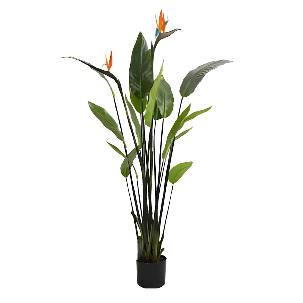 https://cdn.warentuin.nl/media/catalog/product/S/C/SCAN2500000261732_strelitzia_met_bloem_120_cm_kunstplant_bui_762a.jpg