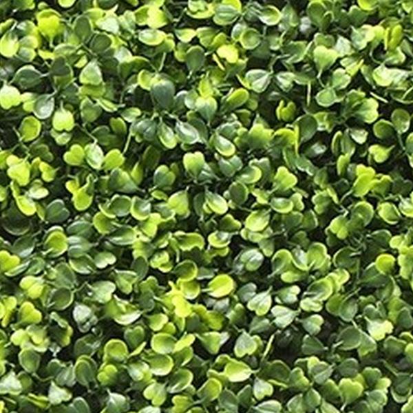 https://cdn.warentuin.nl/media/catalog/product/S/C/SCAN2500000261954_01_mat_50x50_cm_buxus_geel_kunstplanten_bu_7256.jpg