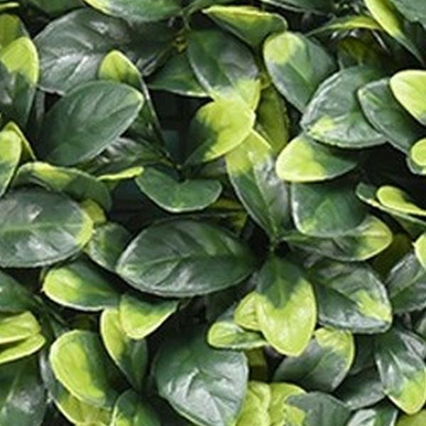 https://cdn.warentuin.nl/media/catalog/product/S/C/SCAN2500000261961_01_mat_50x50_cm_bayberry_kunstplanten_buit_6f08.jpg
