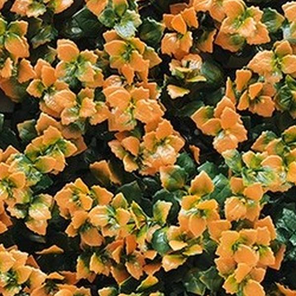 https://cdn.warentuin.nl/media/catalog/product/S/C/SCAN2500000261978_01_mat_50x50_cm_pachysandra_oranje_kunstpl_d3f9.jpg