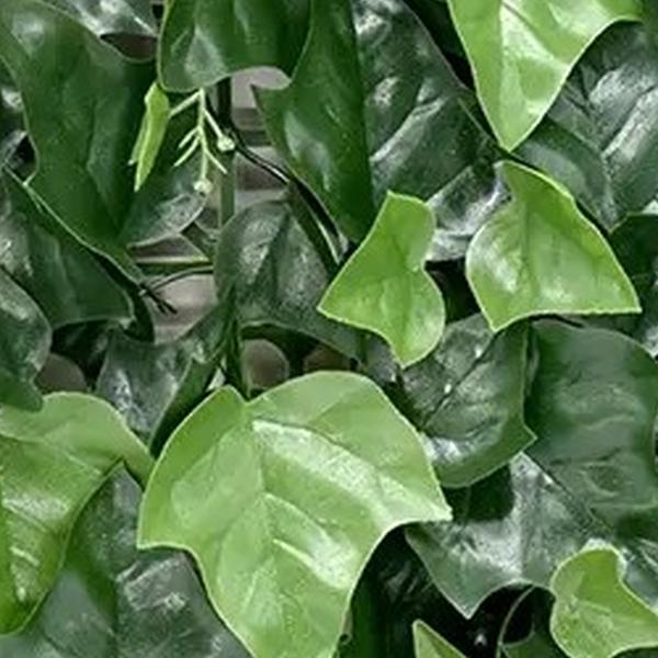 https://cdn.warentuin.nl/media/catalog/product/S/C/SCAN2500000262012_01_mat_50x50_cm_hedera_mix_kunstplanten_bu_2424.jpg