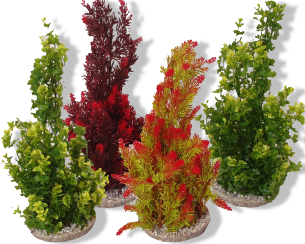 https://cdn.warentuin.nl/media/catalog/product/S/C/SCAN3502733496046_01_gebr_de_boon_sydeco_kunststofplant_cyperus_g_c2ed.png