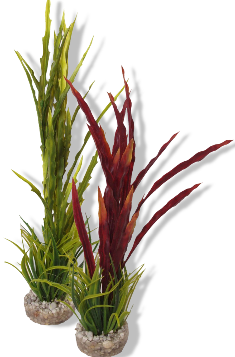 https://cdn.warentuin.nl/media/catalog/product/S/C/SCAN3502733496398_01_gebr_de_boon_sydeco_kunststofplant_atol_gras_ed4c.png