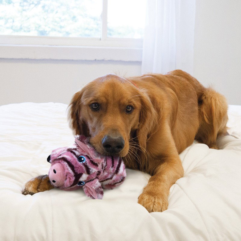 https://cdn.warentuin.nl/media/catalog/product/S/C/SCAN35585499598_01_honden_speelgoed_low_stuff_stripes_pig_medium_gebr_de_boon_3b5d.jpg