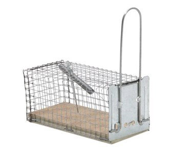 Vangkooi muizen 1st Protect Home SBM - Protect