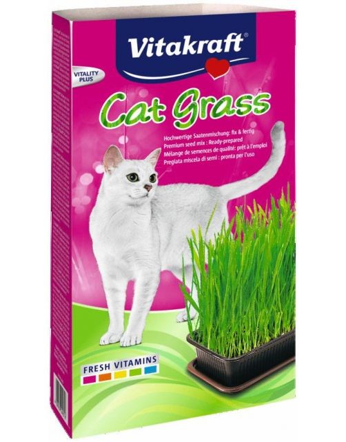https://cdn.warentuin.nl/media/catalog/product/S/C/SCAN4008239240316_cat_gras_120g_vitakraft_a555.jpg