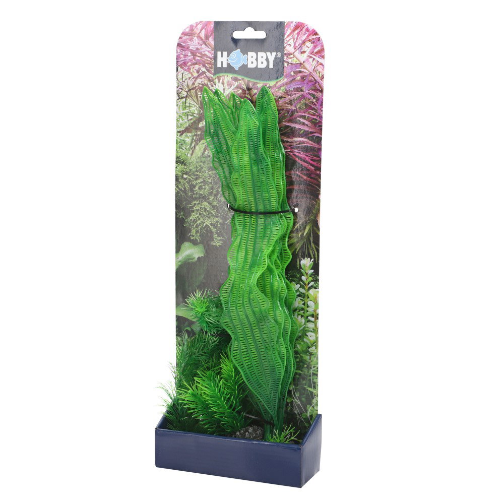 https://cdn.warentuin.nl/media/catalog/product/S/C/SCAN4011444514806_hobby_decoratie_planten_plantasy_set_1_decorati_b4d8.jpg