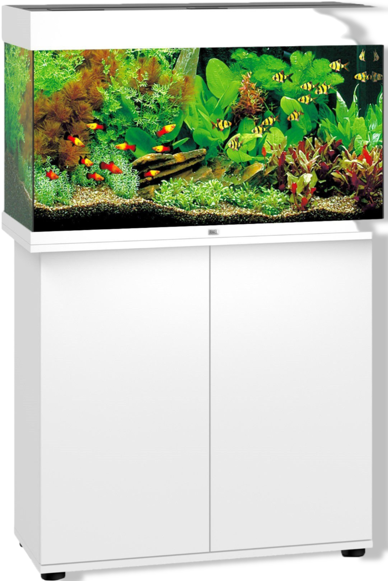 https://cdn.warentuin.nl/media/catalog/product/S/C/SCAN4022573501049_01_gebr_de_boon_juwel_meubel_bouwpakket_sbx_rio_202f.png