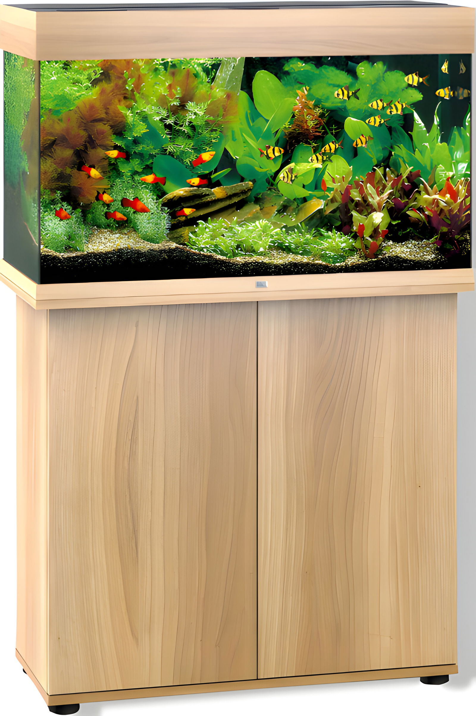 https://cdn.warentuin.nl/media/catalog/product/S/C/SCAN4022573501087_01_gebr_de_boon_juwel_meubel_bouwpakket_sbx_rio_6c49.jpg