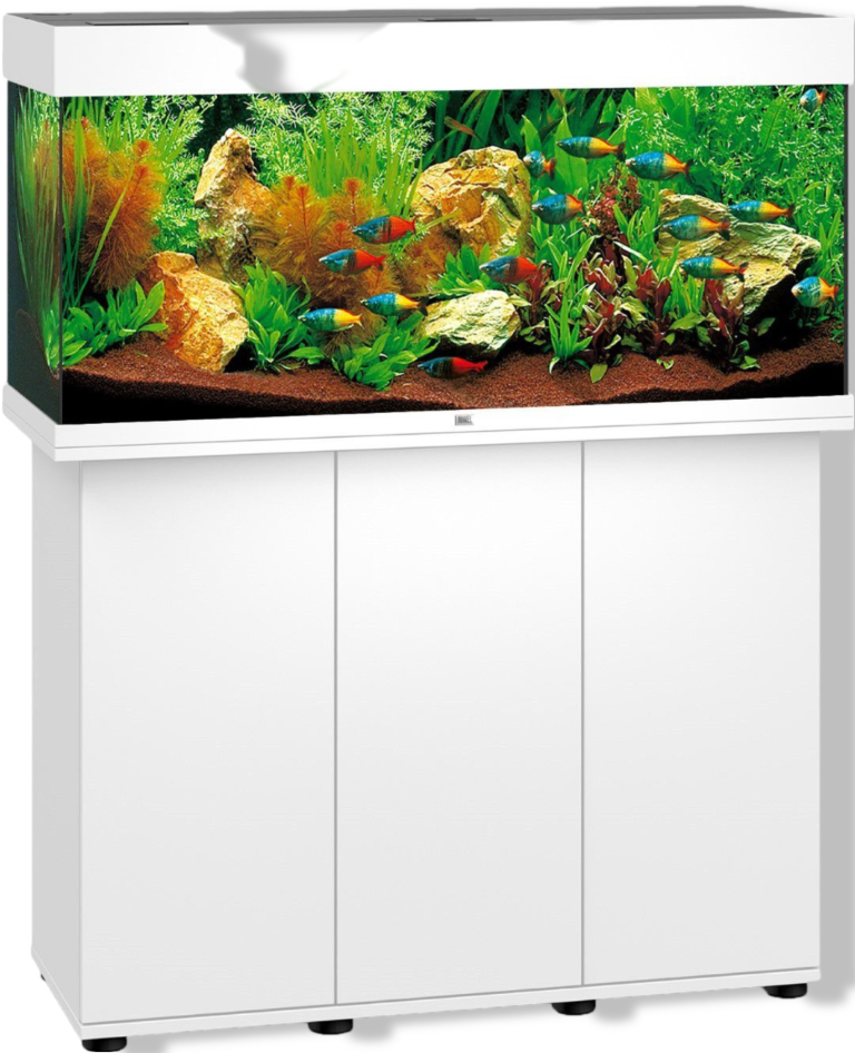 https://cdn.warentuin.nl/media/catalog/product/S/C/SCAN4022573501148_01_gebr_de_boon_juwel_meubel_bouwpakket_sbx_rio_effb.png