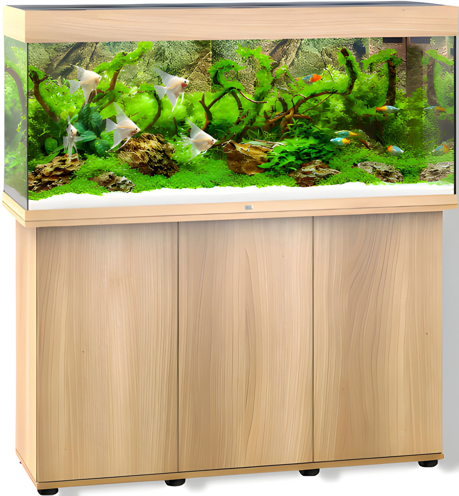 https://cdn.warentuin.nl/media/catalog/product/S/C/SCAN4022573501285_01_gebr_de_boon_juwel_meubel_bouwpakket_sbx_rio_d719.jpg
