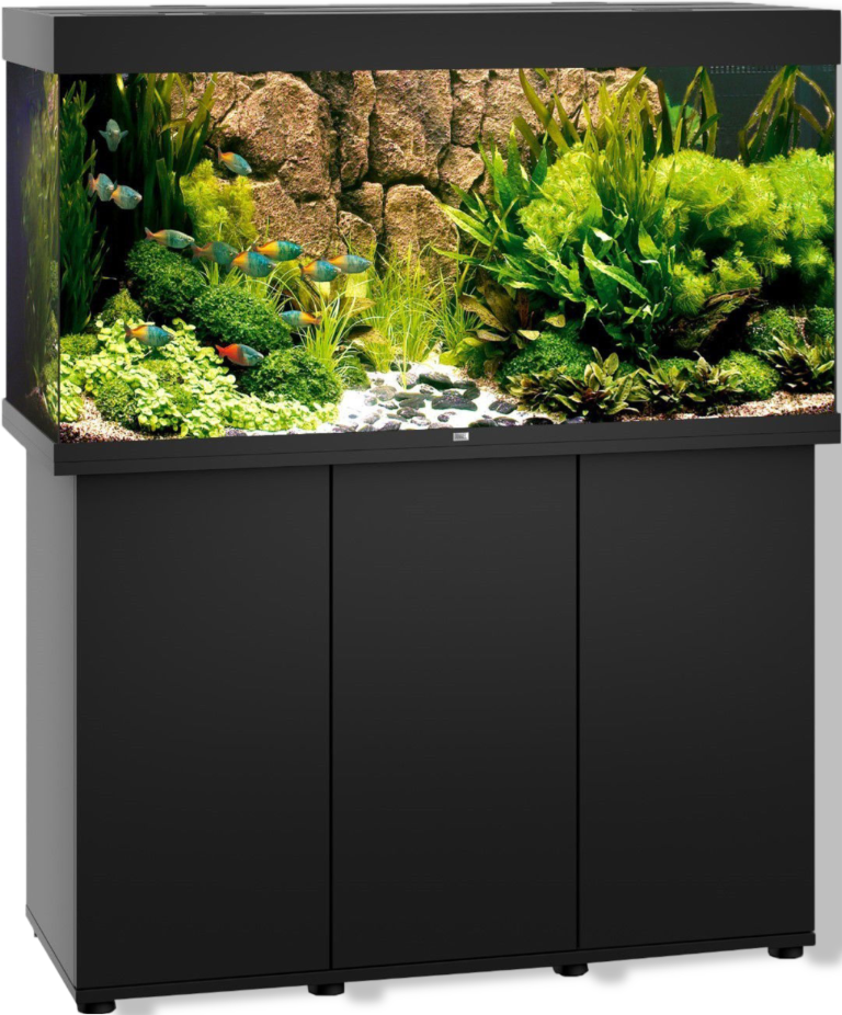 https://cdn.warentuin.nl/media/catalog/product/S/C/SCAN4022573501339_01_gebr_de_boon_juwel_meubel_bouwpakket_sbx_rio_8c4a.png